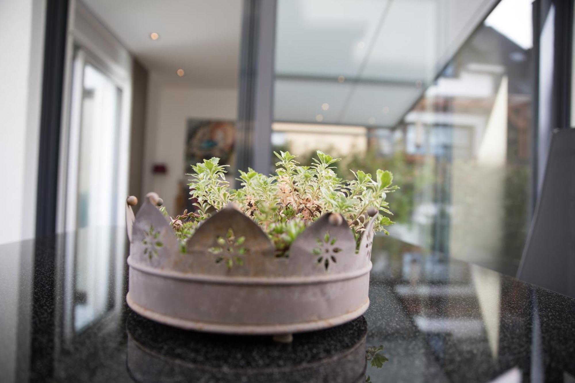 Neu - Moselauszeit Traben Apartamento Exterior foto